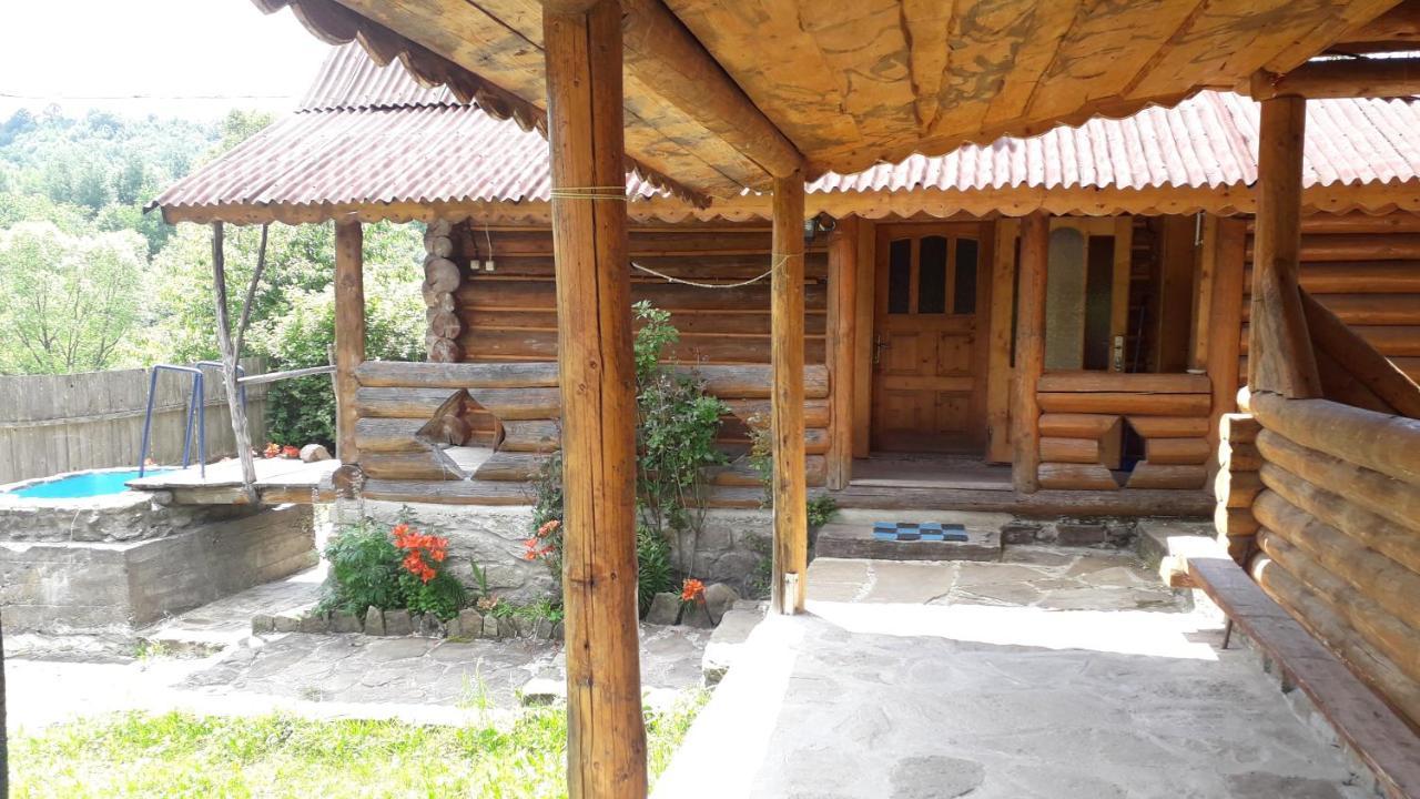 "Бджілка" І " Садиба Для Відпочинку" Lyuta Exterior foto